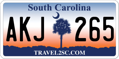 SC license plate AKJ265