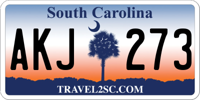SC license plate AKJ273