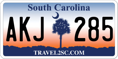 SC license plate AKJ285