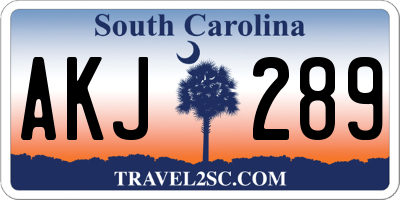 SC license plate AKJ289