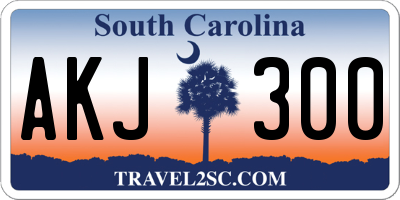 SC license plate AKJ300