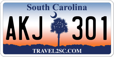 SC license plate AKJ301