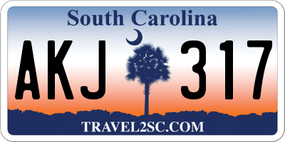 SC license plate AKJ317