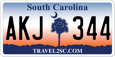 SC license plate AKJ344