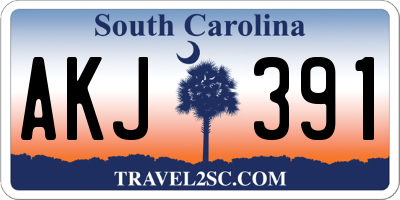 SC license plate AKJ391