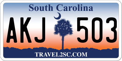 SC license plate AKJ503