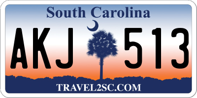 SC license plate AKJ513