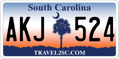 SC license plate AKJ524