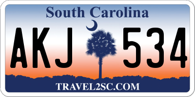 SC license plate AKJ534