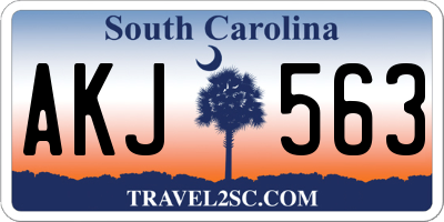 SC license plate AKJ563