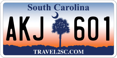 SC license plate AKJ601