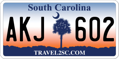 SC license plate AKJ602