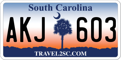 SC license plate AKJ603