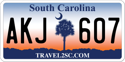 SC license plate AKJ607