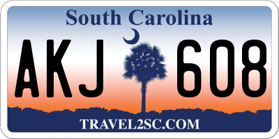 SC license plate AKJ608