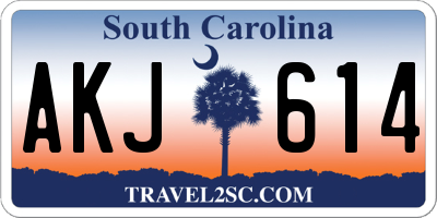 SC license plate AKJ614