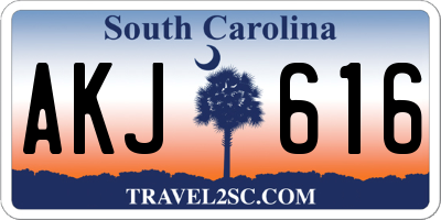 SC license plate AKJ616
