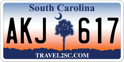 SC license plate AKJ617