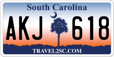 SC license plate AKJ618