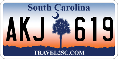 SC license plate AKJ619