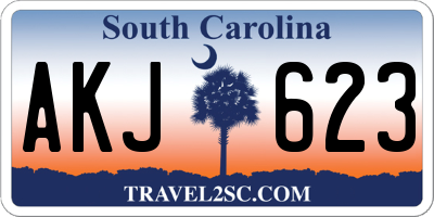 SC license plate AKJ623