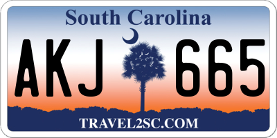 SC license plate AKJ665