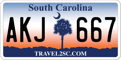 SC license plate AKJ667