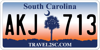 SC license plate AKJ713