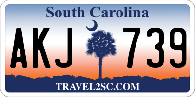 SC license plate AKJ739