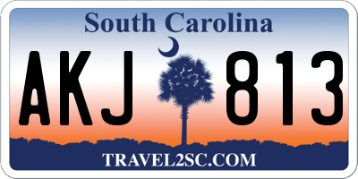 SC license plate AKJ813