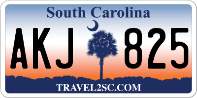 SC license plate AKJ825