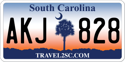 SC license plate AKJ828