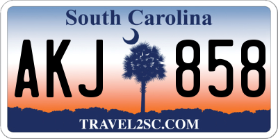SC license plate AKJ858