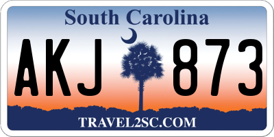 SC license plate AKJ873