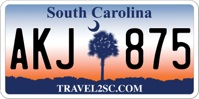 SC license plate AKJ875