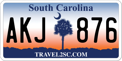 SC license plate AKJ876