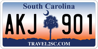SC license plate AKJ901