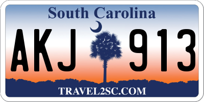 SC license plate AKJ913