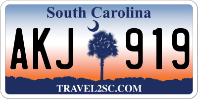 SC license plate AKJ919