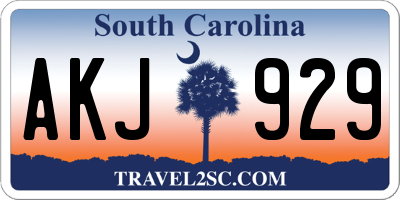 SC license plate AKJ929