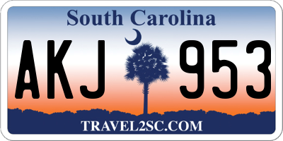 SC license plate AKJ953