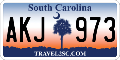 SC license plate AKJ973