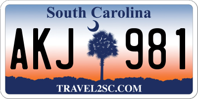 SC license plate AKJ981