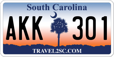 SC license plate AKK301