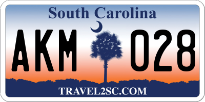 SC license plate AKM028