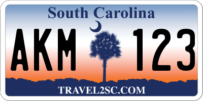 SC license plate AKM123