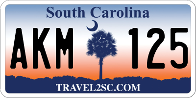 SC license plate AKM125