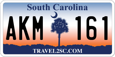 SC license plate AKM161