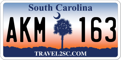 SC license plate AKM163