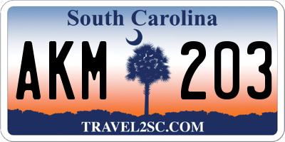 SC license plate AKM203